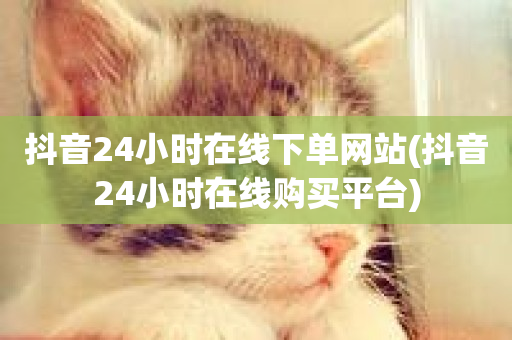 抖音24小时在线下单网站(抖音24小时在线购买平台)-第1张图片-ZBLOG