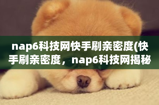 nap6科技网快手刷亲密度(快手刷亲密度，nap6科技网揭秘！)-第1张图片-ZBLOG