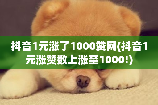 抖音1元涨了1000赞网(抖音1元涨赞数上涨至1000!)-第1张图片-ZBLOG