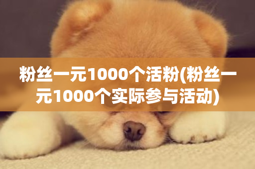 粉丝一元1000个活粉(粉丝一元1000个实际参与活动)