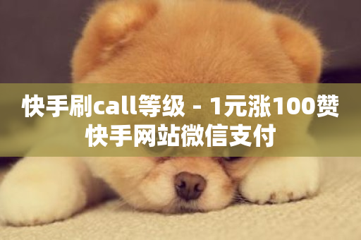 快手刷call等级 - 1元涨100赞快手网站微信支付