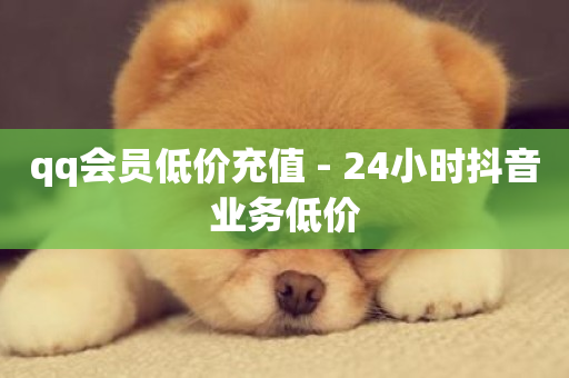 qq会员低价充值 - 24小时抖音业务低价-第1张图片-ZBLOG