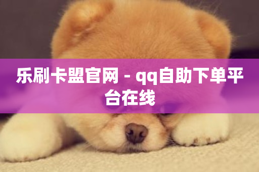 乐刷卡盟官网 - qq自助下单平台在线