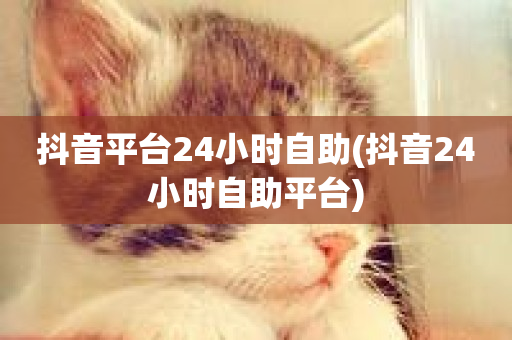 抖音平台24小时自助(抖音24小时自助平台)-第1张图片-ZBLOG