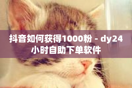 抖音如何获得1000粉 - dy24小时自助下单软件