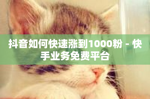 抖音如何快速涨到1000粉 - 快手业务免费平台