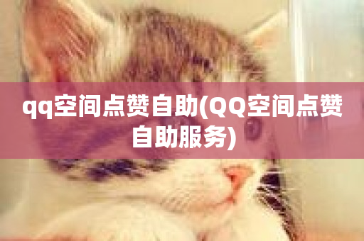 qq空间点赞自助(QQ空间点赞自助服务)-第1张图片-ZBLOG