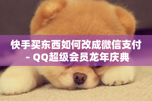 快手买东西如何改成微信支付 - QQ超级会员龙年庆典-第1张图片-ZBLOG