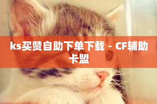 ks买赞自助下单下载 - CF辅助卡盟