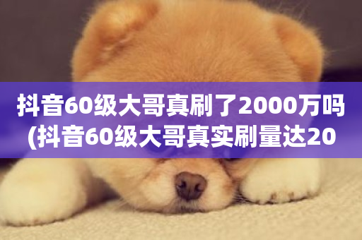 抖音60级大哥真刷了2000万吗(抖音60级大哥真实刷量达2000万)-第1张图片-ZBLOG