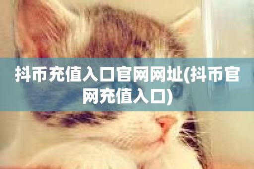 抖币充值入口官网网址(抖币官网充值入口)-第1张图片-ZBLOG