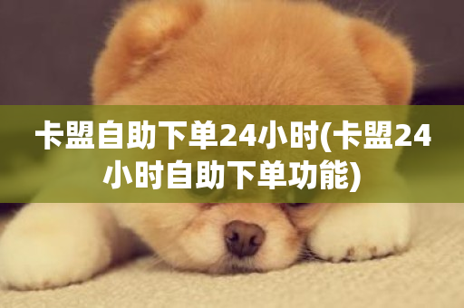 卡盟自助下单24小时(卡盟24小时自助下单功能)-第1张图片-ZBLOG