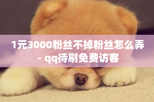 1元3000粉丝不掉粉丝怎么弄 - qq待刷免费访客