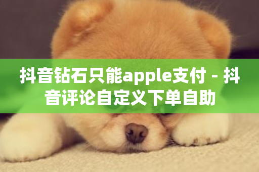 抖音钻石只能apple支付 - 抖音评论自定义下单自助