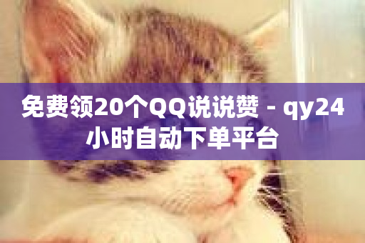 免费领20个QQ说说赞 - qy24小时自动下单平台