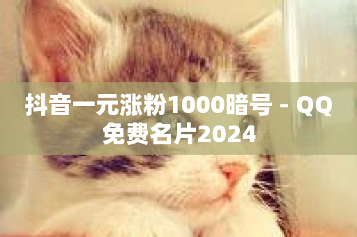 抖音一元涨粉1000暗号 - QQ免费名片2024