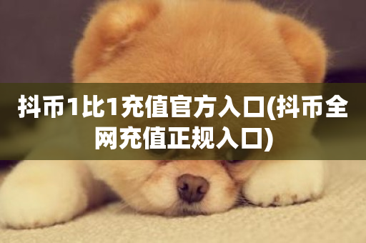 抖币1比1充值官方入口(抖币全网充值正规入口)-第1张图片-ZBLOG