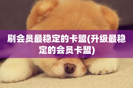 刷会员最稳定的卡盟(升级最稳定的会员卡盟)-第1张图片-ZBLOG