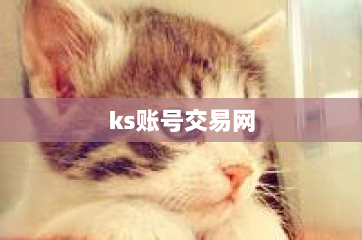 ks账号交易网