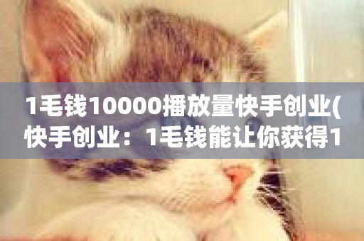 1毛钱10000播放量快手创业(快手创业：1毛钱能让你获得10000倍播放量)-第1张图片-ZBLOG