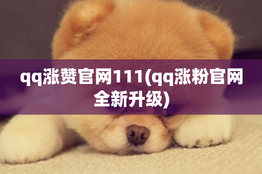 qq涨赞官网111(qq涨粉官网全新升级)