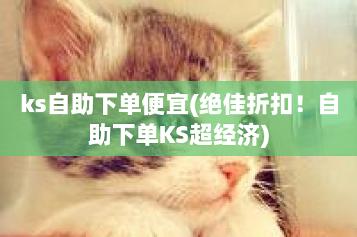 ks自助下单便宜(绝佳折扣！自助下单KS超经济)-第1张图片-ZBLOG