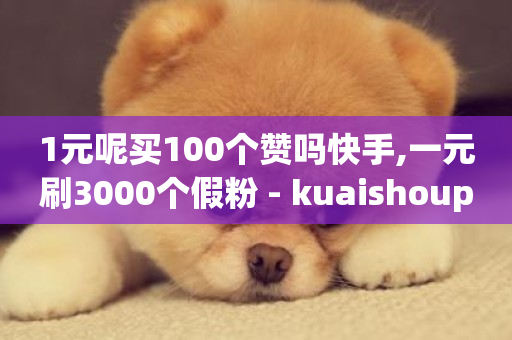 1元呢买100个赞吗快手,一元刷3000个假粉 - kuaishoupaycom ios充值 - 今日头条万粉账号一个多少钱-第1张图片-ZBLOG