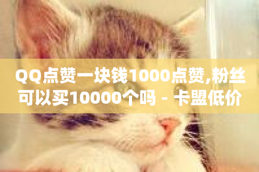 QQ点赞一块钱1000点赞,粉丝可以买10000个吗 - 卡盟低价qq号 - 10000个赞1毛-第1张图片-ZBLOG