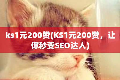 ks1元200赞(KS1元200赞，让你秒变SEO达人)-第1张图片-ZBLOG