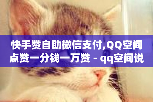 快手赞自助微信支付,QQ空间点赞一分钱一万赞 - qq空间说说赞真人点赞网 - QQ空间互访-第1张图片-ZBLOG