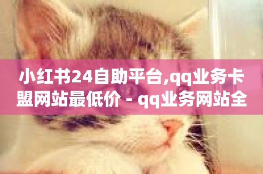 小红书24自助平台,qq业务卡盟网站最低价 - qq业务网站全网最低 - 一元100个赞-第1张图片-ZBLOG