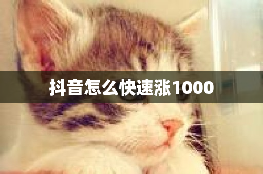 抖音怎么快速涨1000