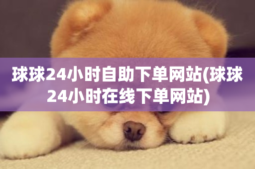 球球24小时自助下单网站(球球24小时在线下单网站)-第1张图片-ZBLOG