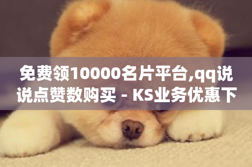 免费领10000名片平台,qq说说点赞数购买 - KS业务优惠下单平台 - qq空间刷转发说说-第1张图片-ZBLOG