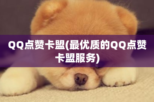 QQ点赞卡盟(最优质的QQ点赞卡盟服务)-第1张图片-ZBLOG