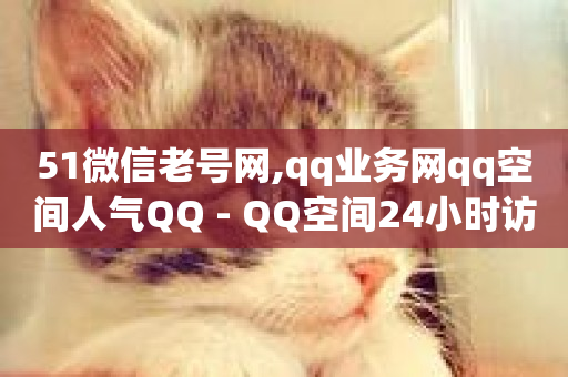 51微信老号网,qq业务网qq空间人气QQ - QQ空间24小时访问量 - 网红商城在线下单软件-第1张图片-ZBLOG