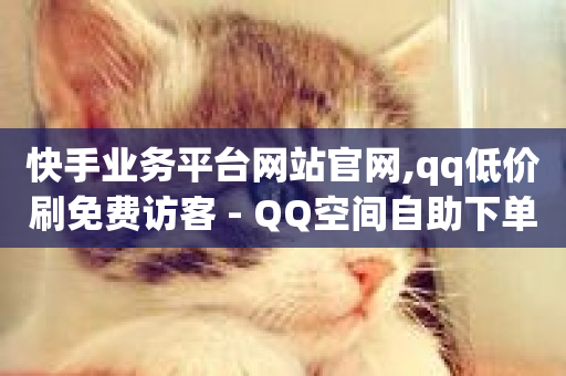 快手业务平台网站官网,qq低价刷免费访客 - QQ空间自助下单24小时平台 - 业务卡盟平台-第1张图片-ZBLOG