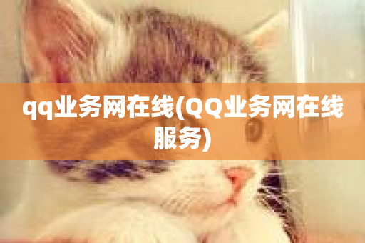 qq业务网在线(QQ业务网在线服务)-第1张图片-ZBLOG