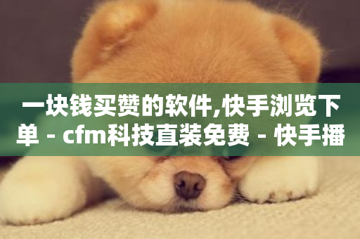 一块钱买赞的软件,快手浏览下单 - cfm科技直装免费 - 快手播放量一万有多少收益-第1张图片-ZBLOG