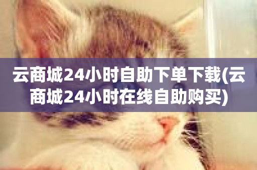 云商城24小时自助下单下载(云商城24小时在线自助购买)-第1张图片-ZBLOG