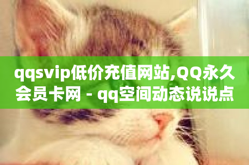 qqsvip低价充值网站,QQ永久会员卡网 - qq空间动态说说点赞免费 - qq空间访客量平台