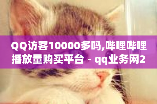 QQ访客10000多吗,哔哩哔哩播放量购买平台 - qq业务网24小时自助下单免费 - qq下单赞平台空间