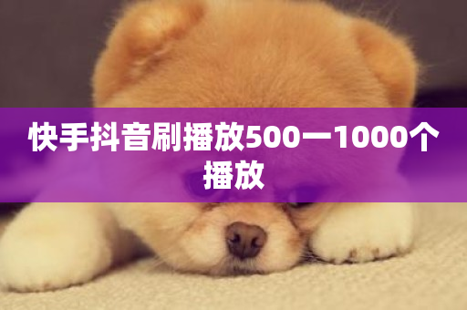 快手抖音刷播放500一1000个播放-第1张图片-ZBLOG