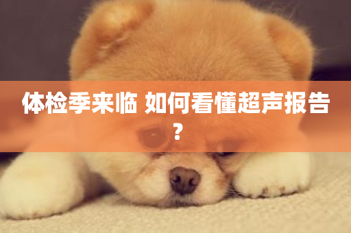 体检季来临 如何看懂超声报告？-第1张图片-ZBLOG