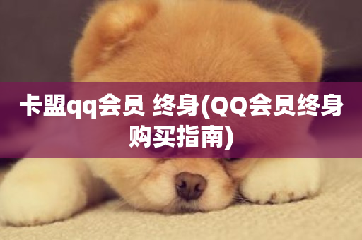 卡盟qq会员 终身(QQ会员终身购买指南)-第1张图片-ZBLOG