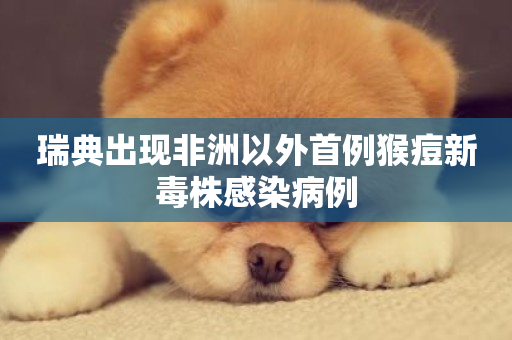 瑞典出现非洲以外首例猴痘新毒株感染病例-第1张图片-ZBLOG