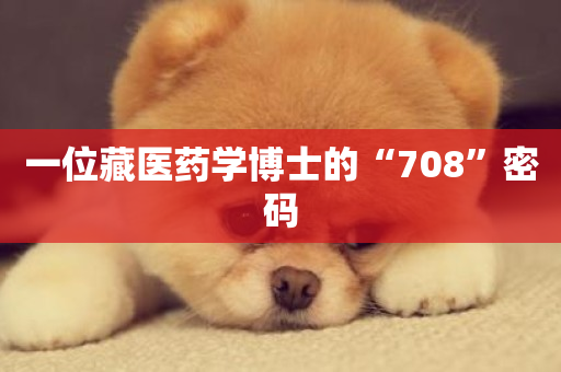 一位藏医药学博士的“708”密码-第1张图片-ZBLOG