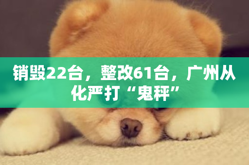 销毁22台，整改61台，广州从化严打“鬼秤”-第1张图片-ZBLOG