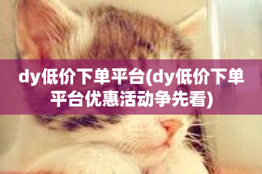 dy低价下单平台(dy低价下单平台优惠活动争先看)