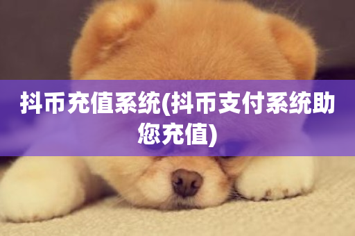 抖币充值系统(抖币支付系统助您充值)